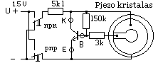 testerio schema